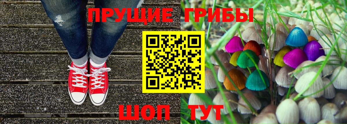 купить наркоту  Галлюциногенные грибы Cubensis  Вход с VPN  Туапсе 